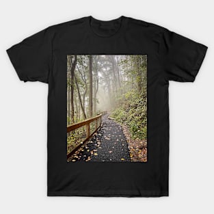 Walk on a Fall Day T-Shirt